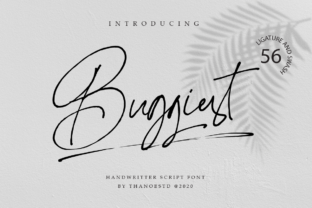 Buggiest: A Bold Script Font