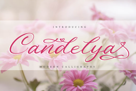 Candelya Font: Elegant Handwritten Style
