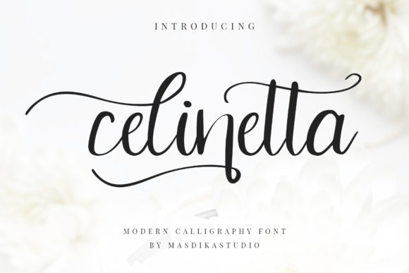 Celinetta: A Script Font for Campaign Creativity