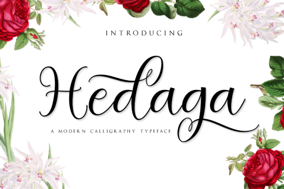 Hedaga: A Romantic Script Font