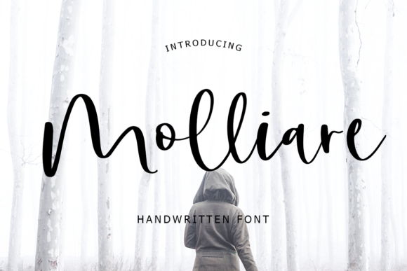 Molliare: A Font That Elevates Branding