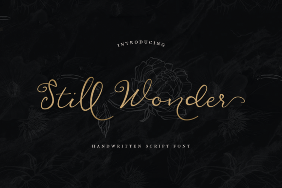 Still Wonder: A Stylish Font for Digital Marketing