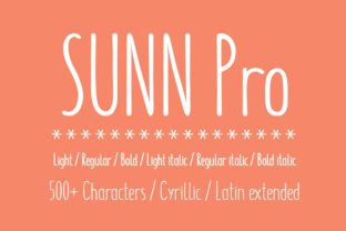 Sunn Pro Font Review