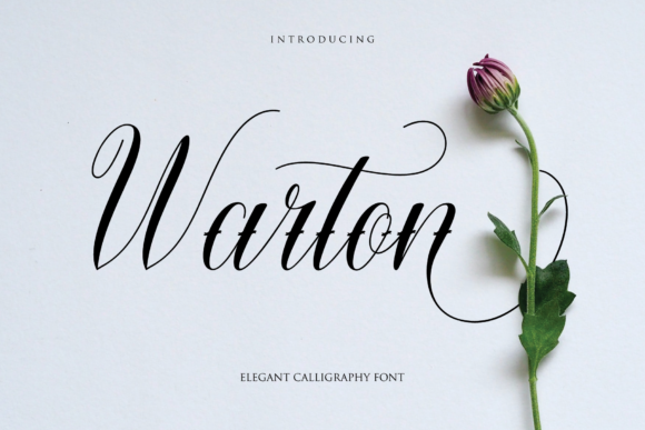 Warton: A Stylish Script Font